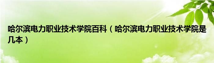 哈尔滨电力职业技术学院百科（哈尔滨电力职业技术学院是几本）