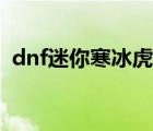 dnf迷你寒冰虎宠物外观（dnf迷你寒冰虎）