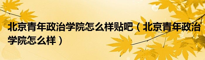 北京青年政治学院怎么样贴吧（北京青年政治学院怎么样）