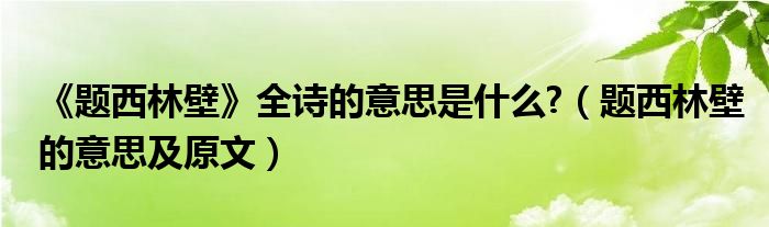 《题西林壁》全诗的意思是什么?（题西林壁的意思及原文）