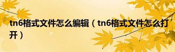 tn6格式文件怎么编辑（tn6格式文件怎么打开）