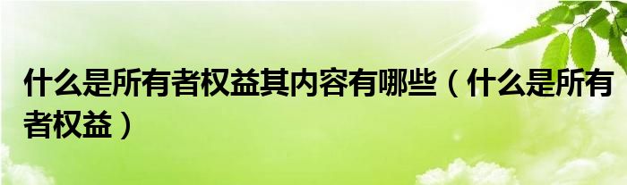 什么是所有者权益其内容有哪些（什么是所有者权益）