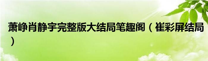 萧峥肖静宇完整版大结局笔趣阁（崔彩屏结局）