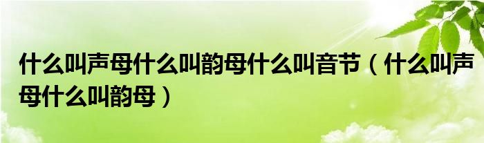 什么叫声母什么叫韵母什么叫音节（什么叫声母什么叫韵母）