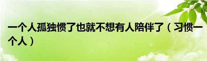 一个人孤独惯了也就不想有人陪伴了（习惯一个人）