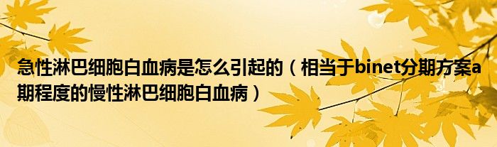 急性淋巴细胞白血病是怎么引起的（相当于binet分期方案a期程度的慢性淋巴细胞白血病）