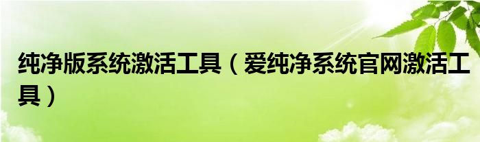 纯净版系统激活工具（爱纯净系统官网激活工具）