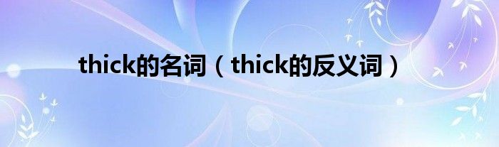 thick的名词（thick的反义词）