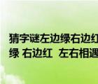 猜字谜左边绿右边红左右相遇起凉风是什么字（猜字谜 左边绿 右边红  左右相遇起凉风  绿的喜欢及时雨  红的最）