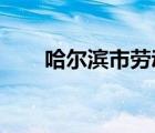 哈尔滨市劳动用工信息备案管理系统