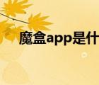 魔盒app是什么东西（app是什么东西）