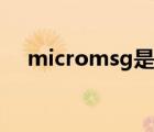 micromsg是什么文件夹（micromsg）