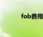 fob费用大概多少（fob费用）