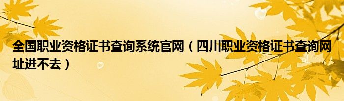 全国职业资格证书查询系统官网（四川职业资格证书查询网址进不去）