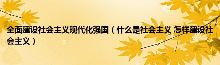 全面建设社会主义现代化强国（什么是社会主义 怎样建设社会主义）