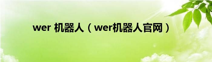 wer 机器人（wer机器人官网）