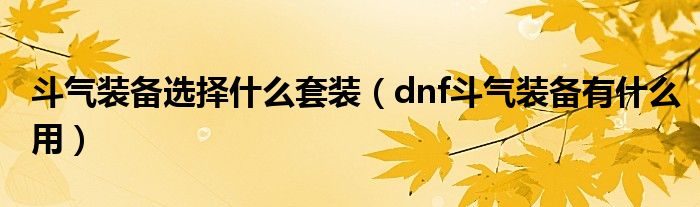 斗气装备选择什么套装（dnf斗气装备有什么用）