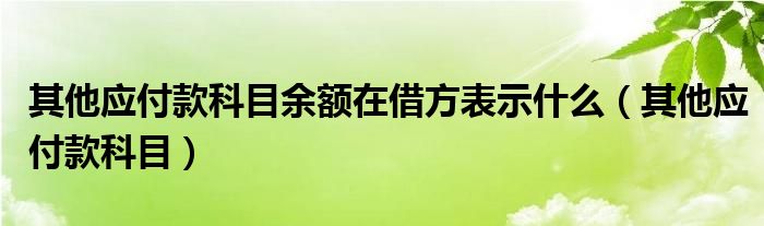 其他应付款科目余额在借方表示什么（其他应付款科目）