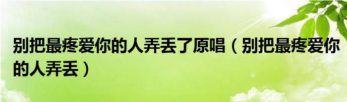 别把最疼爱你的人弄丢了原唱（别把最疼爱你的人弄丢）