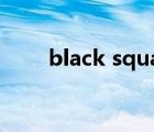 black squad操作（black squad）