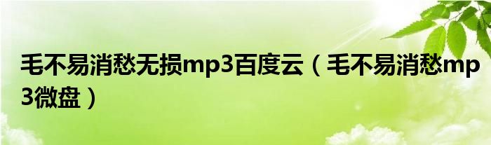 毛不易消愁无损mp3百度云（毛不易消愁mp3微盘）