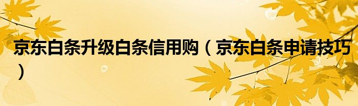 京东白条升级白条信用购（京东白条申请技巧）