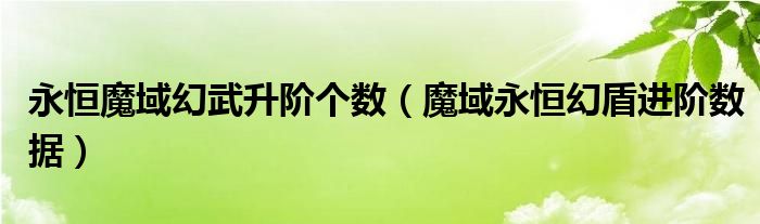 永恒魔域幻武升阶个数（魔域永恒幻盾进阶数据）