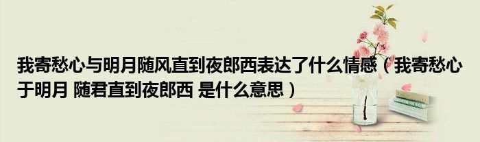 我寄愁心与明月随风直到夜郎西表达了什么情感（我寄愁心于明月 随君直到夜郎西 是什么意思）