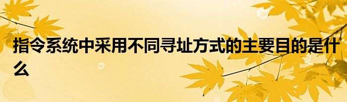 指令系统中采用不同寻址方式的主要目的是什么