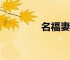 名福妻实下载（名福妻实）