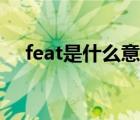 feat是什么意思音乐（feat是什么意思）