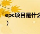 epc项目是什么意思（空空落落的意思是什么）