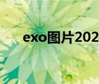 exo图片2021（exo图片12个人照片）