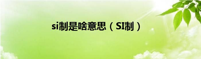 si制是啥意思（SI制）