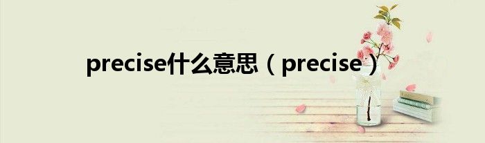 precise什么意思（precise）