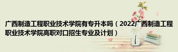 广西制造工程职业技术学院有专升本吗（2022广西制造工程职业技术学院高职对口招生专业及计划）