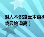 时人不识凌云木直待凌云始道高哲理（时人不识凌云木直待凌云始道高）