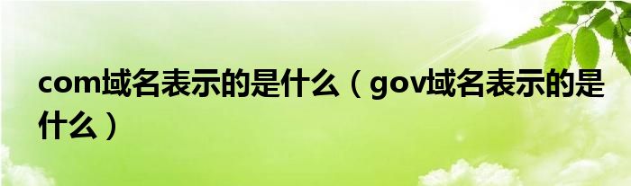 com域名表示的是什么（gov域名表示的是什么）