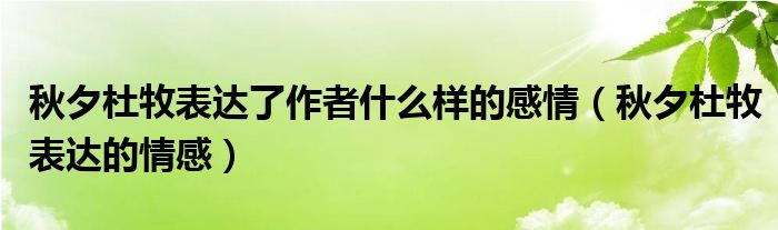 秋夕杜牧表达了作者什么样的感情（秋夕杜牧表达的情感）