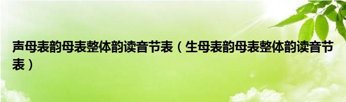 声母表韵母表整体韵读音节表（生母表韵母表整体韵读音节表）