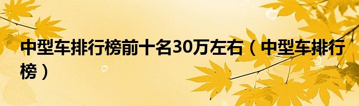 中型车排行榜前十名30万左右（中型车排行榜）