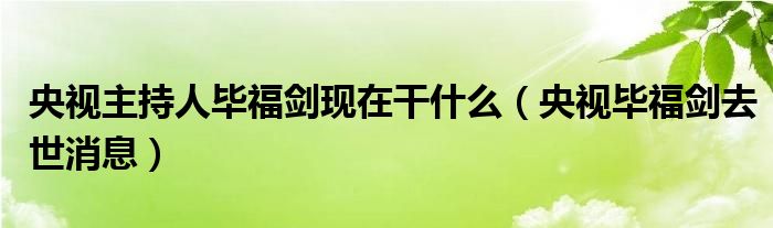 央视主持人毕福剑现在干什么（央视毕福剑去世消息）