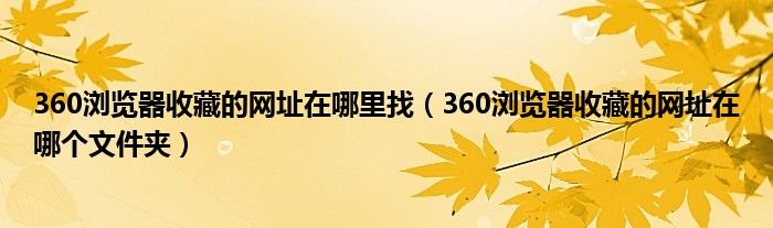 360浏览器收藏的网址在哪里找（360浏览器收藏的网址在哪个文件夹）