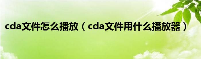 cda文件怎么播放（cda文件用什么播放器）