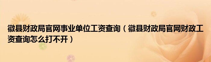 徽县财政局官网事业单位工资查询（徽县财政局官网财政工资查询怎么打不开）