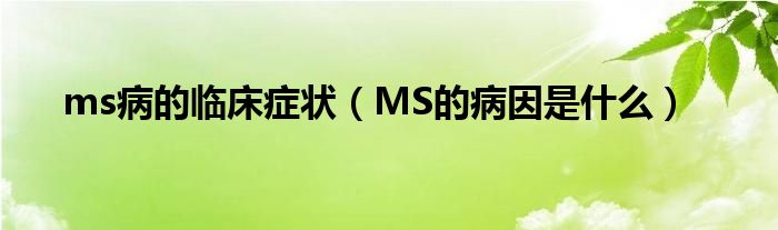 ms病的临床症状（MS的病因是什么）