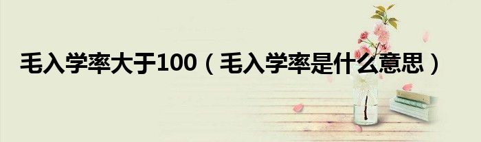 毛入学率大于100（毛入学率是什么意思）