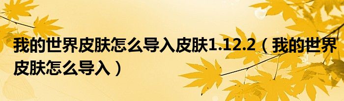 我的世界皮肤怎么导入皮肤1.12.2（我的世界皮肤怎么导入）