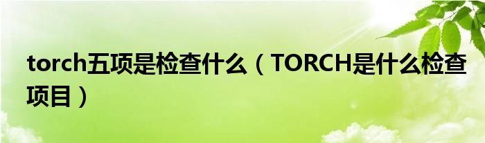 torch五项是检查什么（TORCH是什么检查项目）