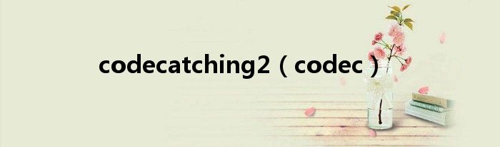 codecatching2（codec）